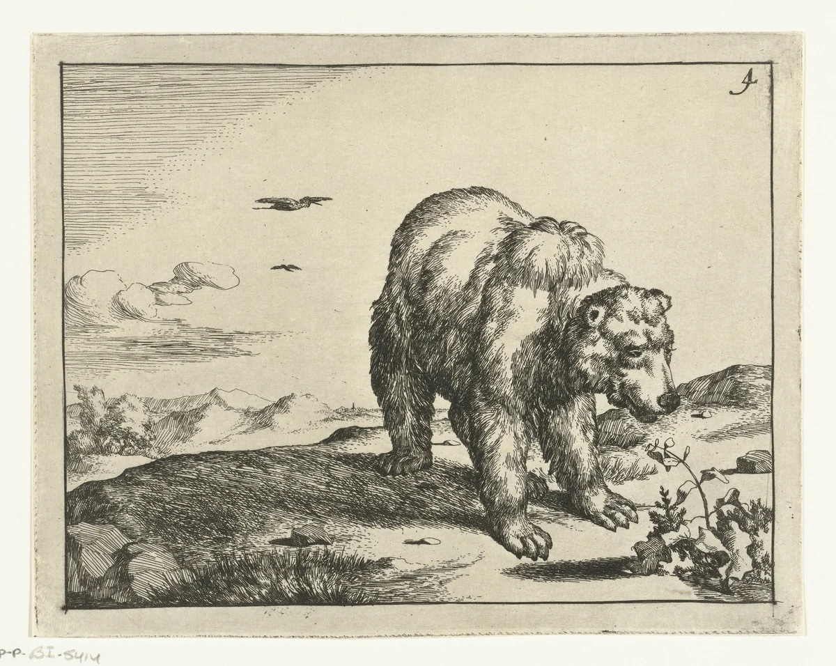 Staande beer bij plant by Marcus de Bye, print, 1664