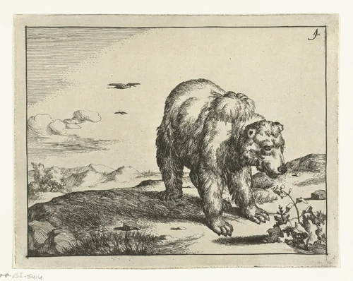 Staande beer bij plant by Marcus de Bye, print, 1664