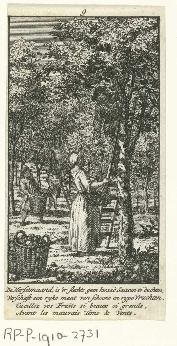 September: fruitoogst by Jan Caspar Philips, print, 1736-1775