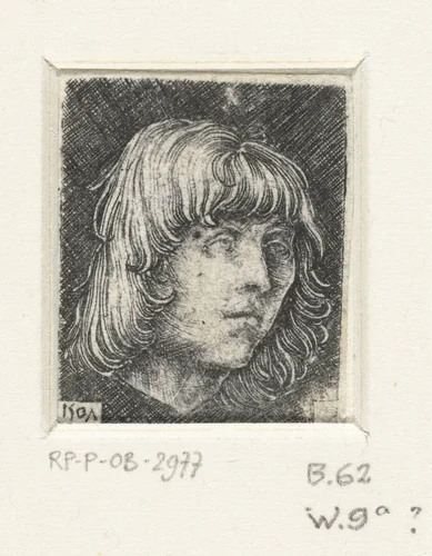 Hoofd van een jongeman by Unknown, print, 1507