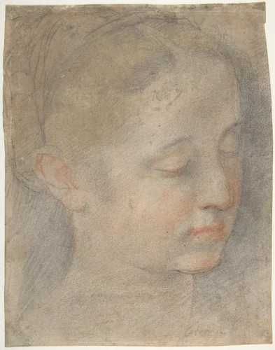 Head of a Young Woman Looking to Lower Right by Federico Barocci, drawing, 1565