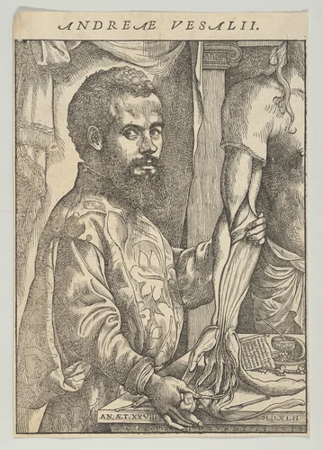 Portrait of Andreas Vesalius, half-length in profile standing in front of a table dissecting the arm of a body; frontispiece to Andreas Vesalius 'De humani corporis fabrica libri septem' by John of Calcar, print, 1542
