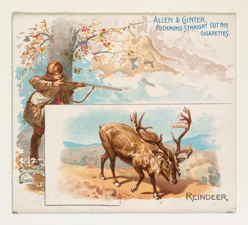 Reindeer, from Quadrupeds series (N41) for Allen & Ginter Cigarettes by Allen & Ginter, print, 1890