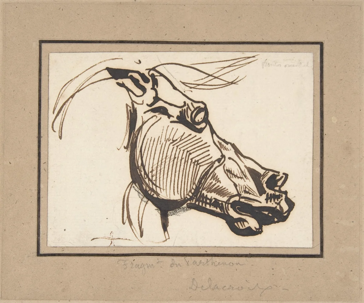 Head of a Horse, after the Parthenon by Eugène Delacroix, drawing, 1820-1830