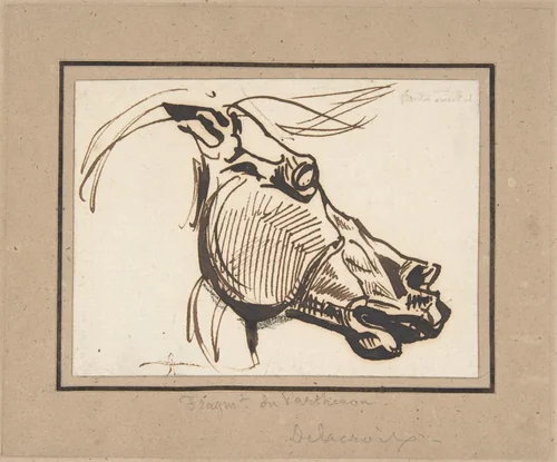 Head of a Horse, after the Parthenon by Eugène Delacroix, drawing, 1820-1830