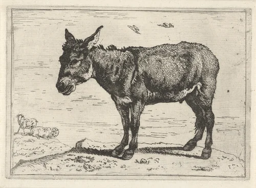 Ezel by Govert van der Leeuw, print, 1655-1688