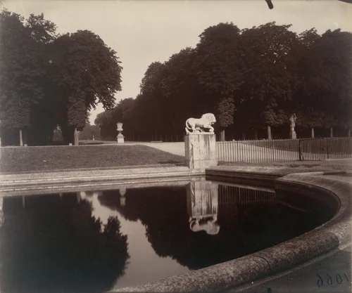 Parc de Saint-Cloud by Eugène Atget, photograph, 1921