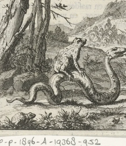 Kikker zittend op de rug van een slang by Jan Luyken, print, 1693