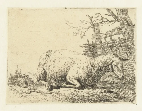 Schaap bij een gevlochten hek by Karel du Jardin, print, 1652-1659