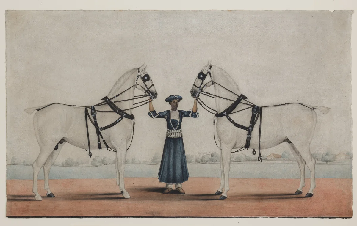 A Syce (Groom) Holding Two Carriage Horses by Shaikh Muhammad Amir, manuscript, 1820-1870