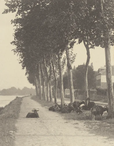Homeward by Alfred Stieglitz, photograph, 1894