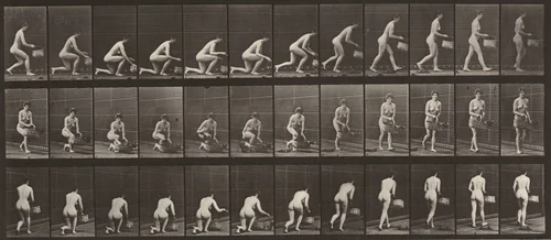 Plate Number 251. Kneeling on left knee with a basket in left hand and rising by Eadweard Muybridge, photograph, 1887
