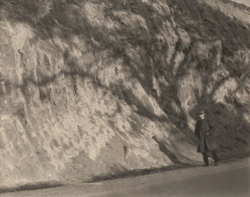 Carl Sandburg by Edward Weston, Margrethe Mather, photograph, 1921