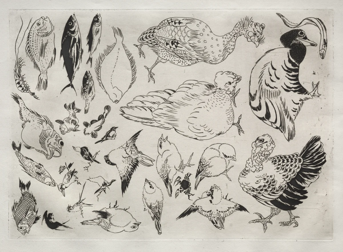 Dinner Service (Rousseau service): Ducks, fish, etc. (no. 12) by Félix Bracquemond, print, 1866
