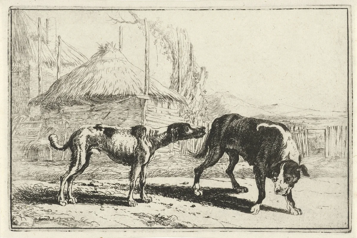 Reu en teef by Jan van den Hecke, print, 1656