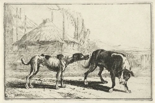 Reu en teef by Jan van den Hecke, print, 1656