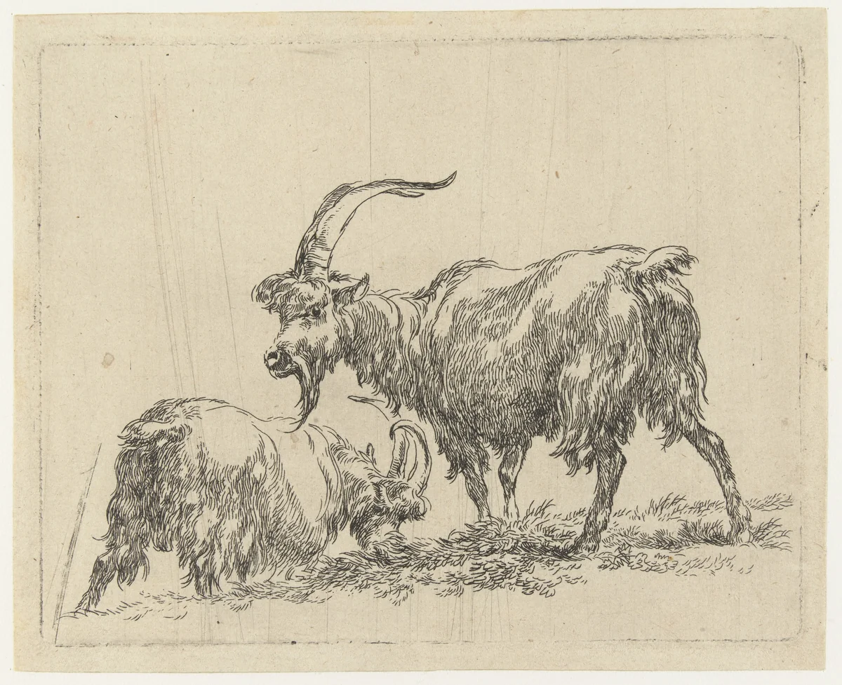 Twee geiten of bokken by Nicolaes Pietersz Berchem, print, 1648-1652