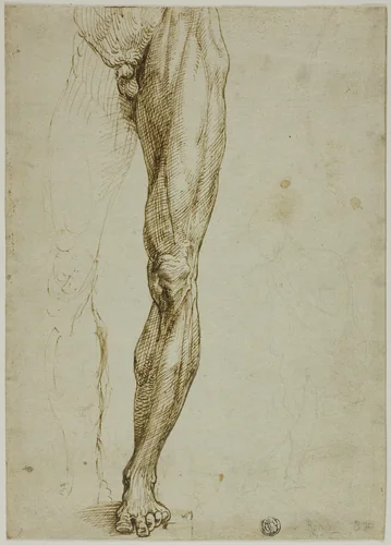 Male Figure Study, with Slight Sketch of Seated Figure by Michelangelo Buonarroti, drawing, 1540-1550