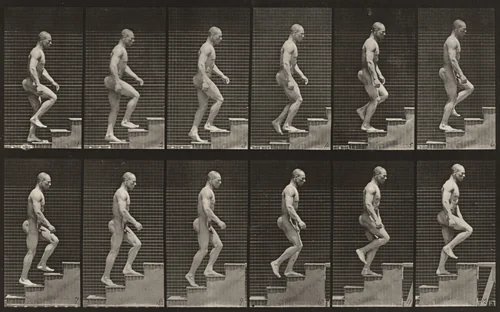Plate Number 91. Ascending stairs by Eadweard Muybridge, photograph, 1887