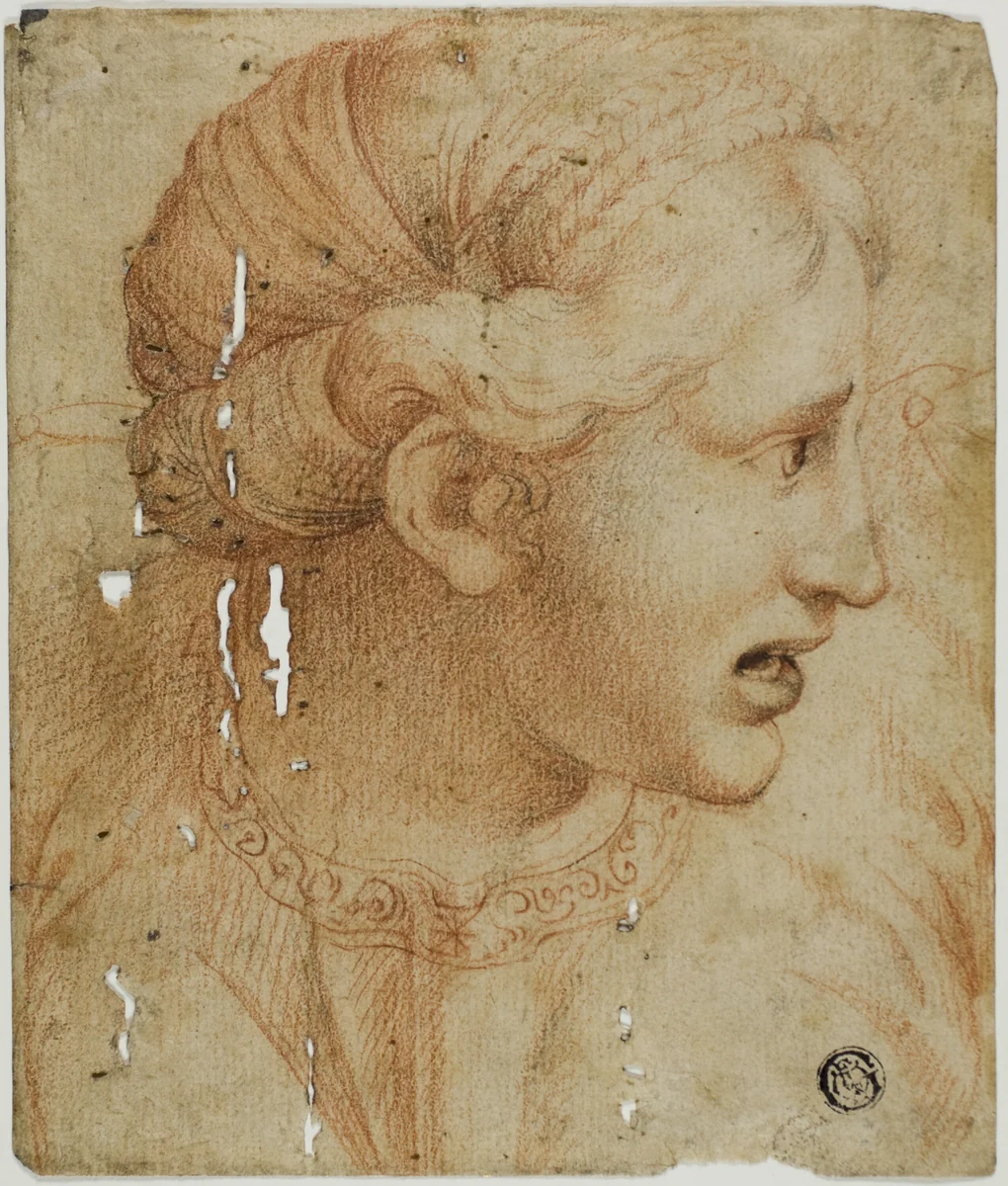Female Head in Profile, Facing Right by Raffaello Sanzio, drawing, 1700-1720