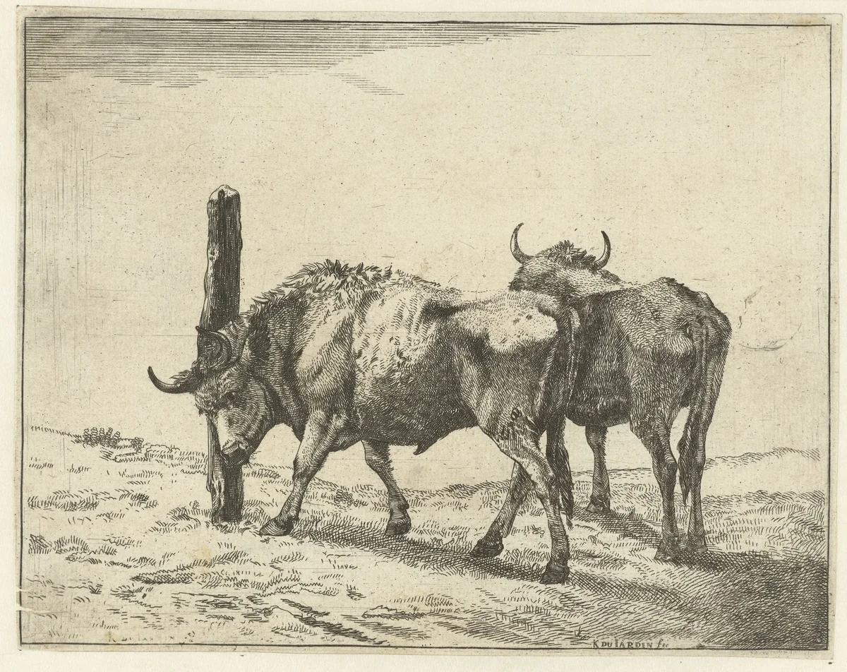 Twee ossen, één schuurt de kop tegen een paal by anonymous, print, 1655-1728
