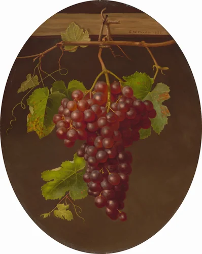 Hanging Bunch of Grapes by Sarah Wilhelmina Wenzler, painting, 1867