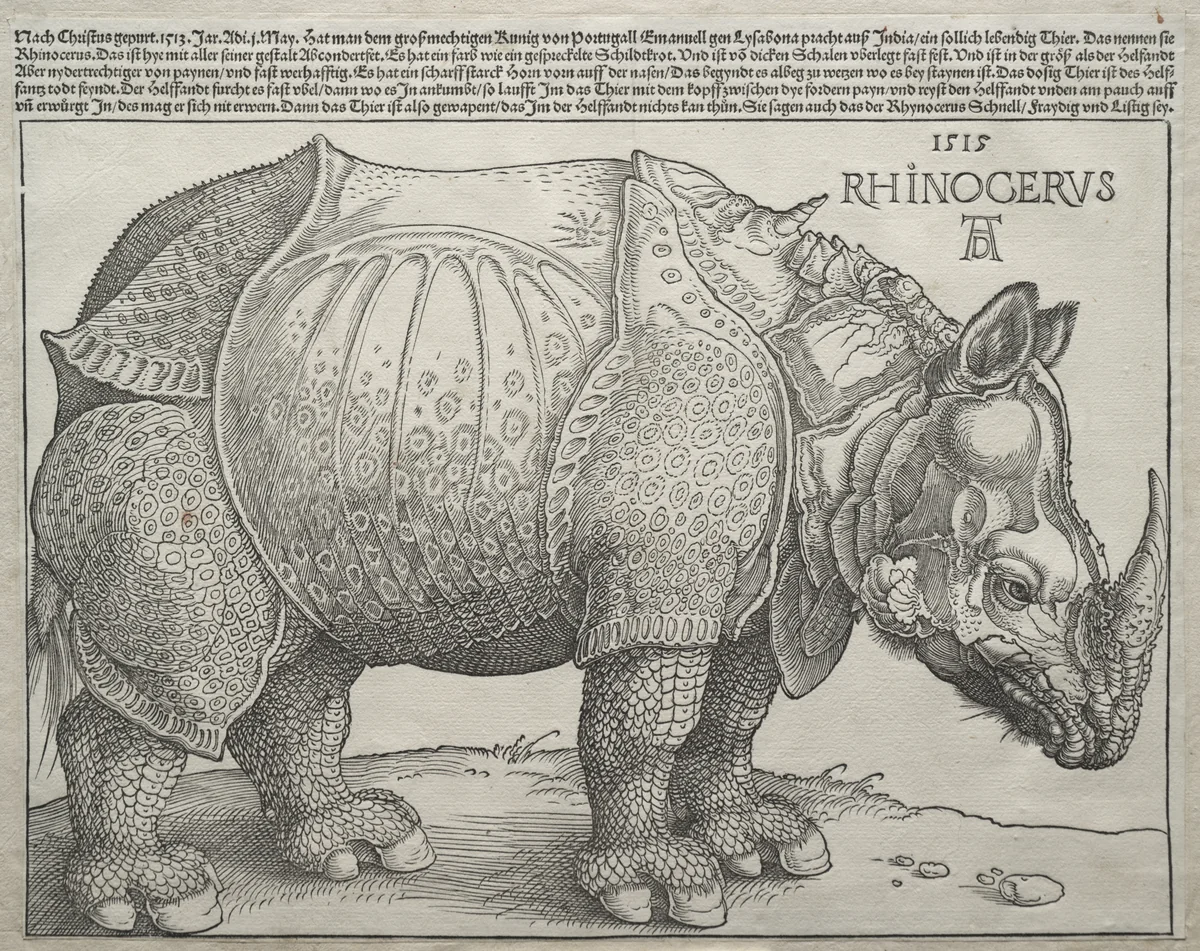 The Rhinoceros by Albrecht Dürer, print, 1515