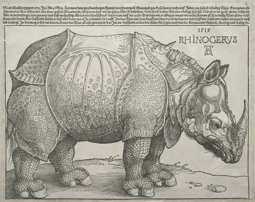 The Rhinoceros by Albrecht Dürer, print, 1515