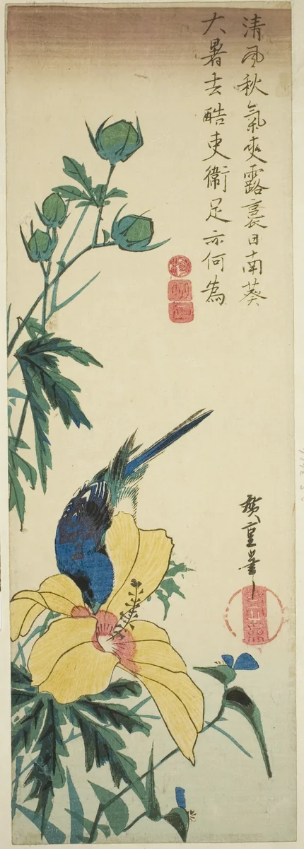 Blue bird and hibiscus by Utagawa Hiroshige (歌川広重), print, 1830-1839