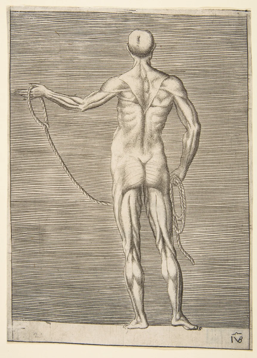 Flayed man seen from behind, holding a rope by Giulio Bonasone, print, 1526-1536