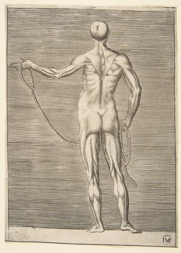 Flayed man seen from behind, holding a rope by Giulio Bonasone, print, 1526-1536