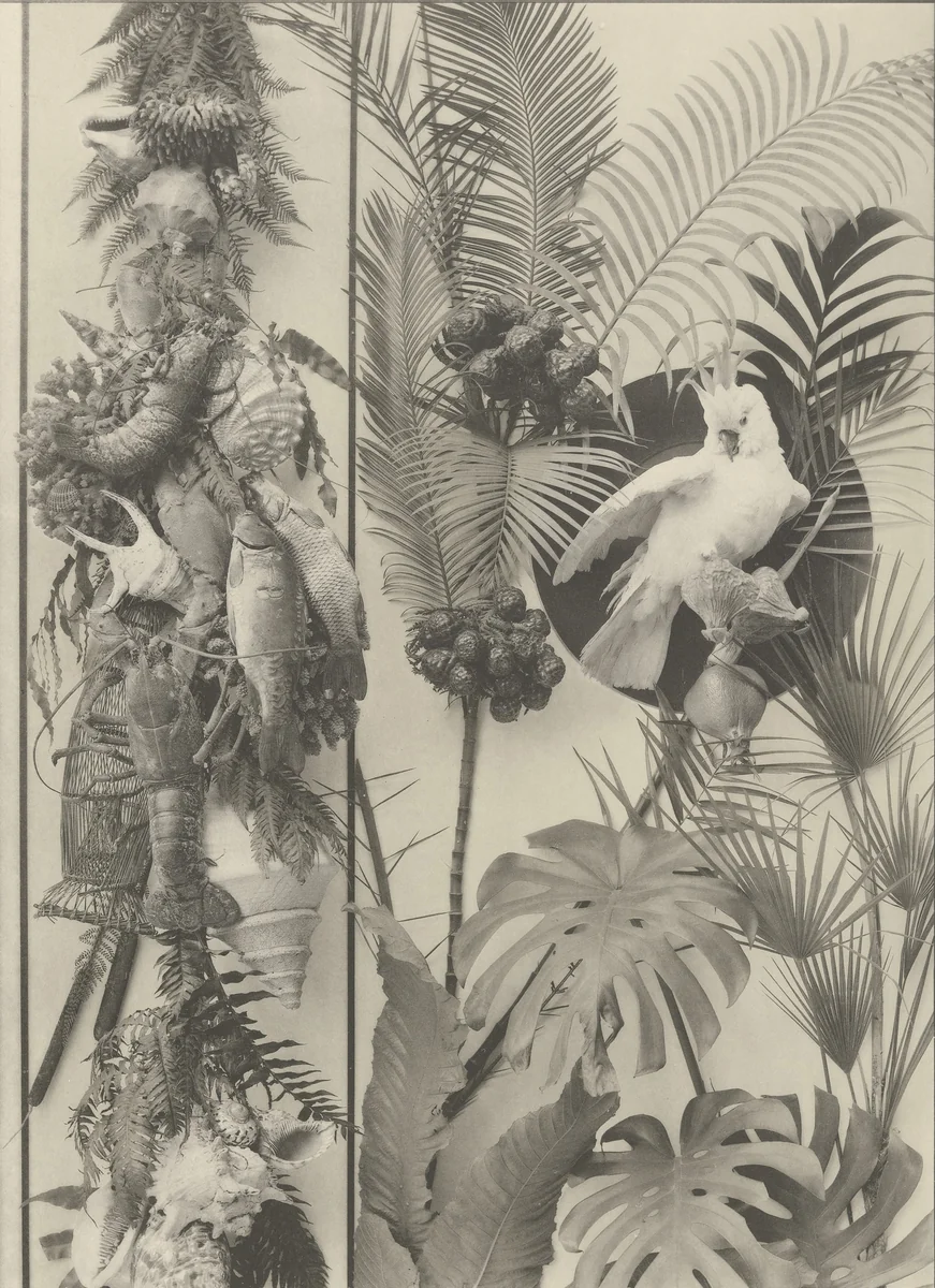 Page from Festons und Dekorative Gruppen by Unidentified Photographer, photograph, 1893