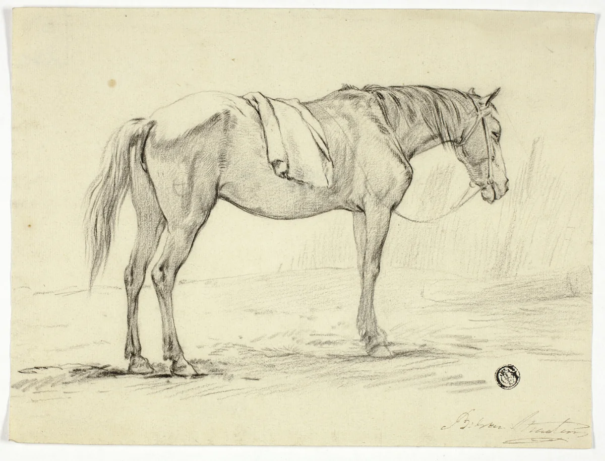 Standing Horse by Unknown Artist, drawing