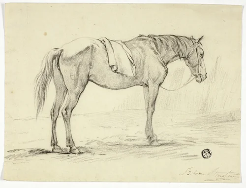 Standing Horse by Unknown Artist, drawing