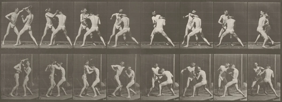 Plate Number 342. Boxing, open hand by Eadweard Muybridge, photograph, 1887
