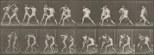 Plate Number 342. Boxing, open hand by Eadweard Muybridge, photograph, 1887