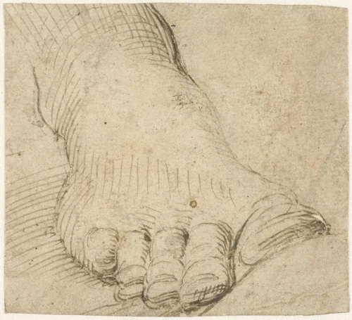 Studie van een rechtervoet, van voren by Unknown, drawing, 1567-1602