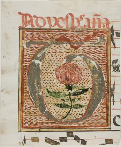 Decorated Initial "T" with Flower from a Manuscript by European, painting, 1300-1500