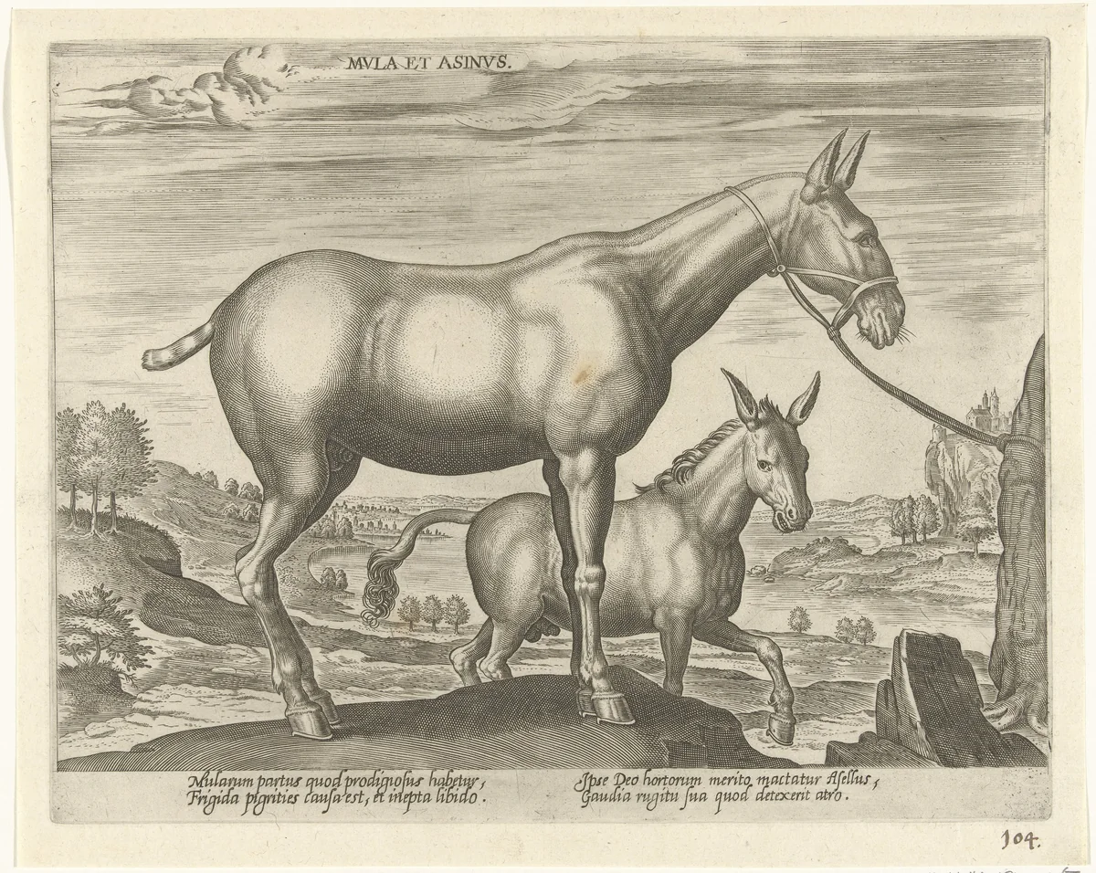 Muilezel en ezel by Unknown, print, 1578-1582