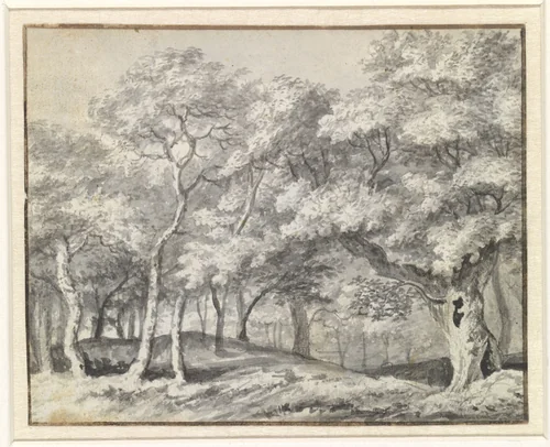 Bosgezicht by Adriaen Hendriksz. Verboom, drawing, 1638-1675