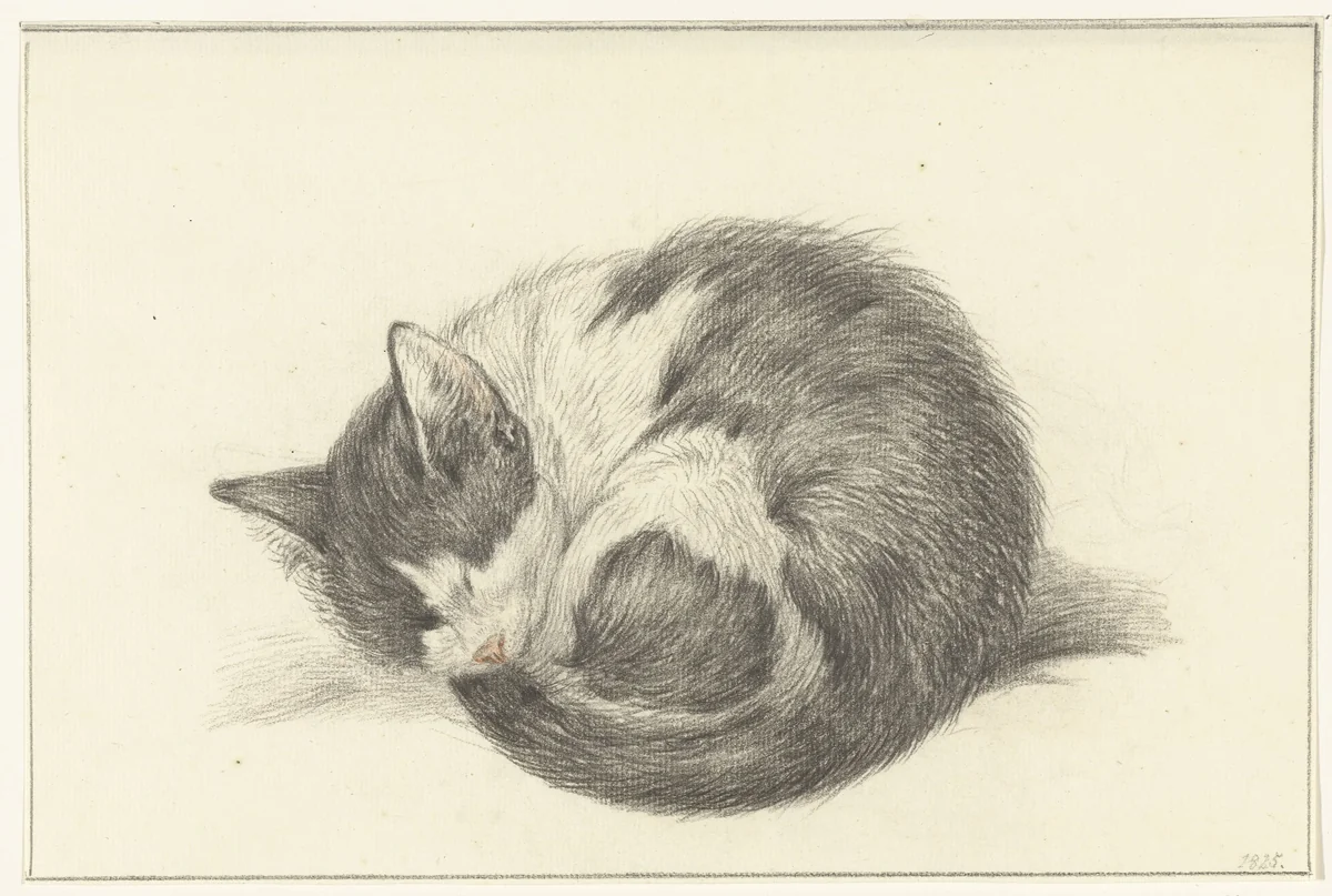 Opgerold liggende, slapende kat by Jean Bernard, drawing, 1825