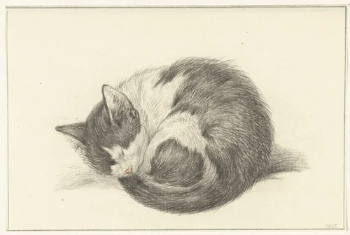 Opgerold liggende, slapende kat by Jean Bernard, drawing, 1825