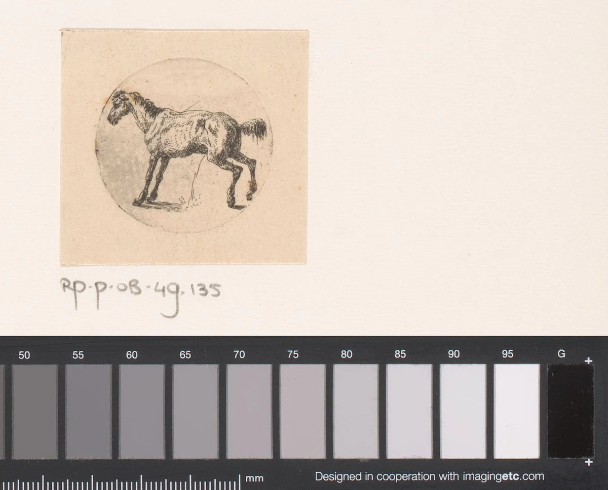 Staand paard by Pierre-François le Roy, print, 1794-1862