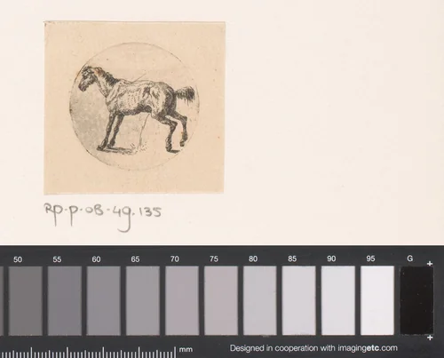 Staand paard by Pierre-François le Roy, print, 1794-1862