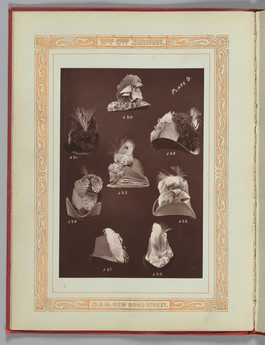 [Hats J50-J57] by William Charles Brown, book, 1888