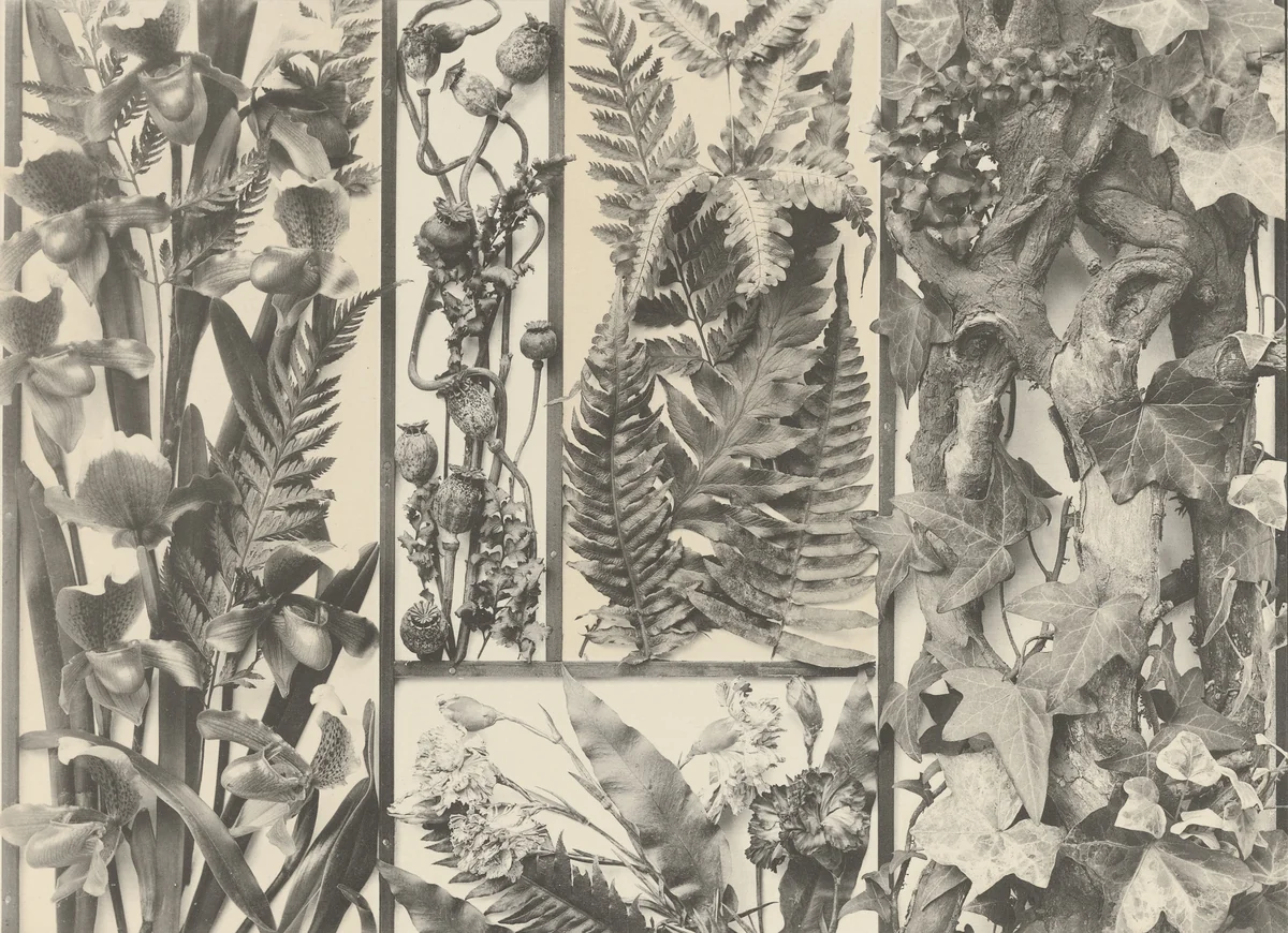 Page from Festons und Dekorative Gruppen by Unidentified Photographer, photograph, 1893