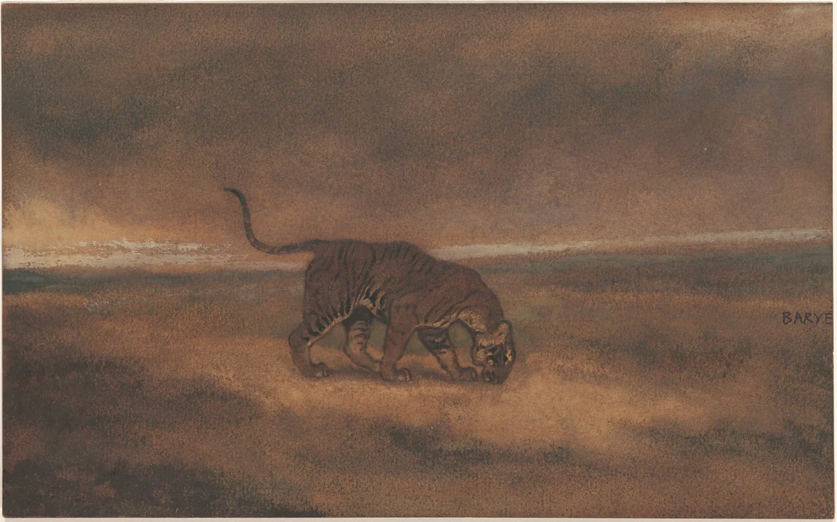 Tiger by Antoine-Louis Barye, drawing, 1835-1875