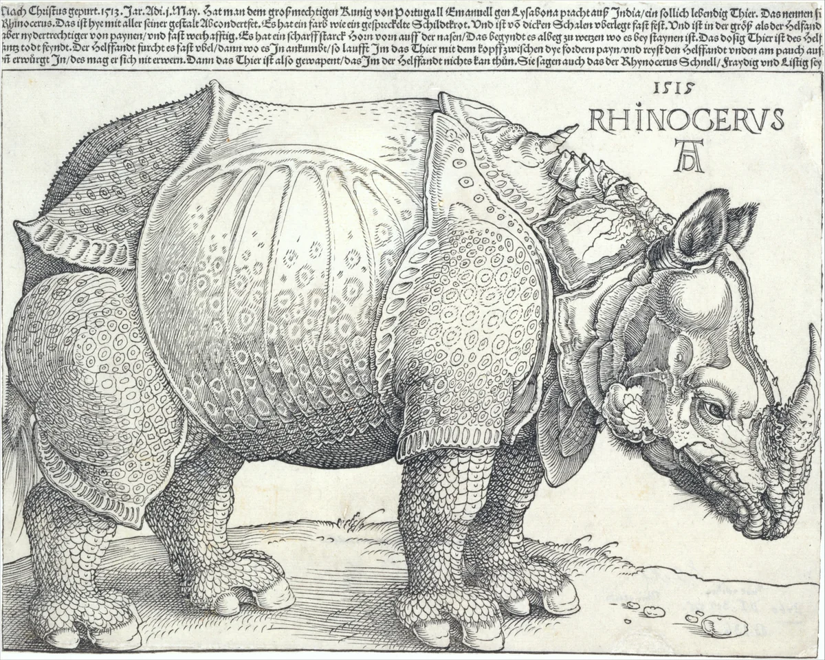 The Rhinoceros by Albrecht Dürer, print, 1515