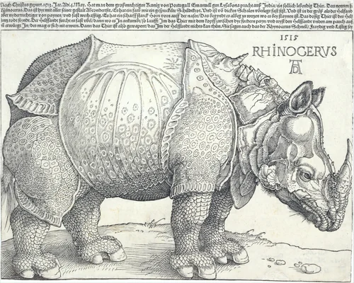 The Rhinoceros by Albrecht Dürer, print, 1515
