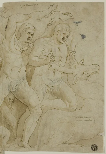 Ancient Sarcophagus Relief with the Labors of Hercules by Girolamo Sellari, drawing, 1521-1556